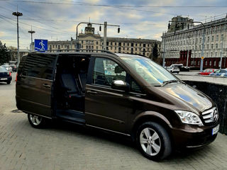 Mercedes Viano