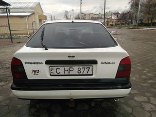 Nissan Primera foto 4