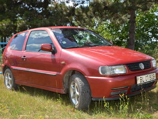 Volkswagen Polo foto 3