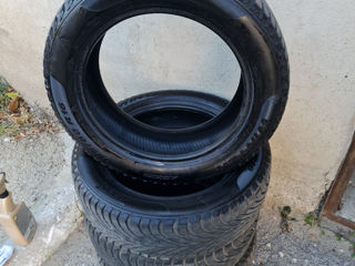 Pirelli 185/60 R16 foto 5