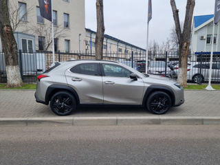 Lexus UX foto 4