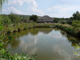 Дом с озером в Сынджера, 35 соток. foto 6