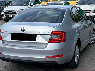 Skoda Octavia foto 2