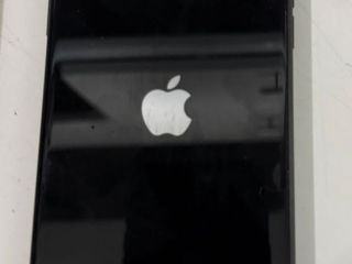 IPhone 11 foto 2