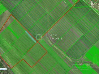 Vânzare, teren agricol, în raionul Căușeni, satul Grigorievca, 120 ha, 579000 euro foto 2