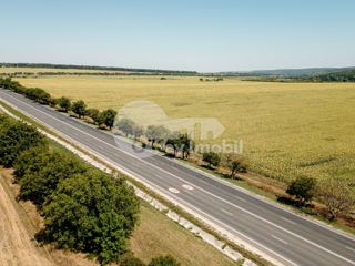 Terenuri agricole, 300 ari, traseul M2 Chișiău – Orhei, 300 000 € foto 3