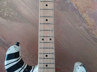 EVH Frankenstrat guitar, japan custom shop foto 6