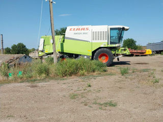 Claas mega 360 combina комбаин жатки heder de porumb si floarea soarelui-125000 lei foto 7