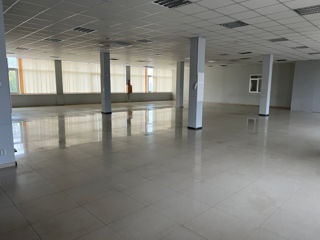 Comercial Arenda ! Magazin -salon 360m2. foto 2