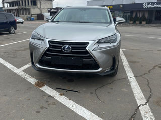 Lexus NX Series