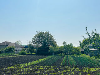 Casă Rautel , raionul Fălești foto 6