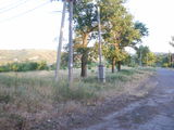 Teren agricol 1 ha in Floreni,la drum de asfalt cu toate comunicatiile,actele necesare avizate. foto 6