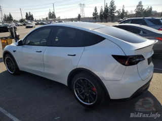 Tesla Model Y foto 2