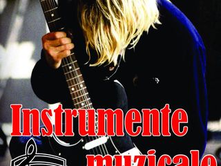 Salonul de instrumente muzicale Nirvana !! De la 1250 lei ! foto 2