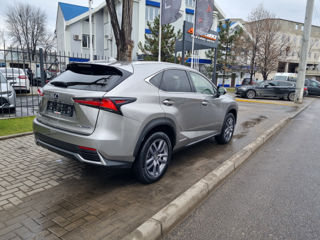 Lexus NX Series foto 5