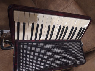 Hohner Verdi II