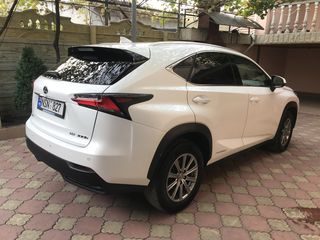 Lexus NX Series foto 3