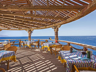 Golf beach resort managed by Rixos 5* -Шарм эль Шейх.Роскошная , зелёная территория!!! foto 6