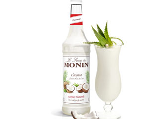 Sirop de Cocos Coconut Monin 1L, Livrare Moldova Chisinau