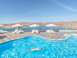 Egipt- Albatros Sharm- 680 Euro