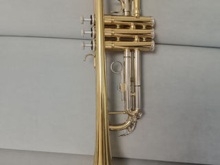 Trompeta/труба
