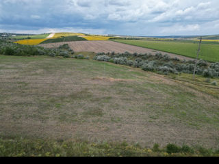 Teren 1 ha , or Orhei, la traseu, prima linie foto 1