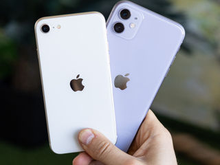 iPhone SE 2020 64 GB от 163 лей в месяц! В кредит 0%!