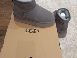 UGG in cutie