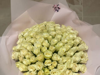 Promotia zilei!! 101 trandafiri olandezi la doar 1200 lei!! foto 2