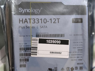 Hard Disc 12 TB Synology