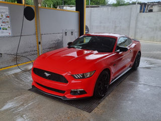 Ford Mustang foto 3