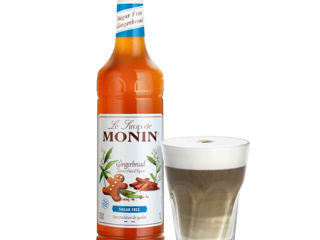 Sirop de Gingerbread Turtă Dulce 1L Monin, Franța, Livrare Moldova