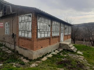 Casă de locuit pe un loc pitoresc.  La drumul central 15 km de la Chișinău. foto 10