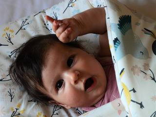 Pături de înfășare pentru nou-născuți LaMillou, Polonia - Baby Horn foto 2