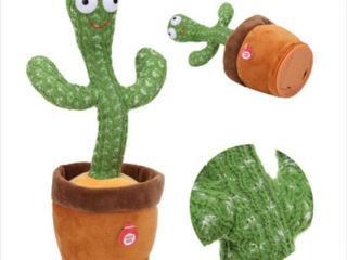 Cactus( danseaza,lumeneaza,repete,cîntă) foto 6
