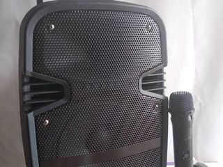 Karaoke - Boxă portabilă 50W, inaltimea 40cm. + Microfon Cadou foto 2