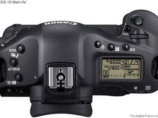 Canon 1D mark IV foto 3