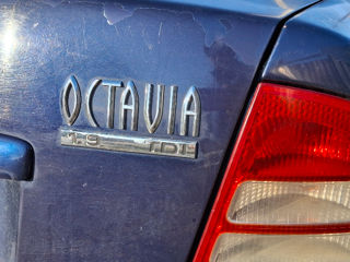 Skoda Octavia foto 6