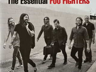 Foo Fighters - The Essential Vinyl
