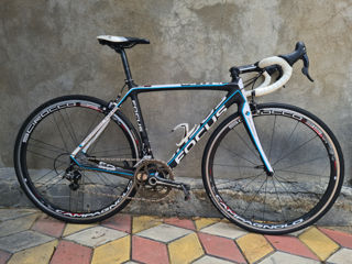 Focus Izalco Carbon