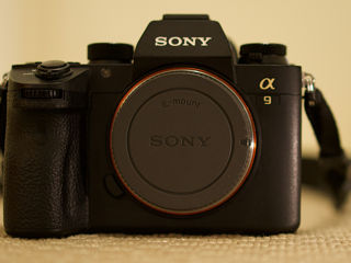 Sony Alpha 9