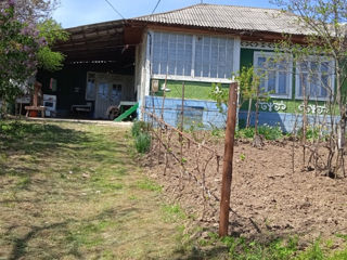 Casa in satul Napadeni foto 7