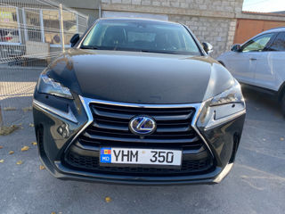 Lexus NX Series foto 4