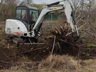 Servicii bobcat/ услуги bobcat, аренда foto 6