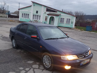 Nissan Primera foto 2