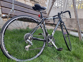 Bicicletă de șosea Coyote Route 66  foto 6