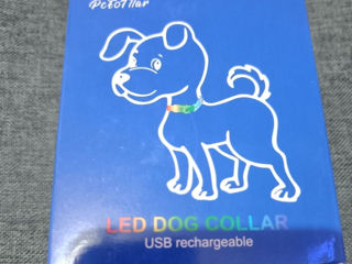 Zgardă pentru câine Pumila, Led mărimea M, Light, Small, Large dog - verde,