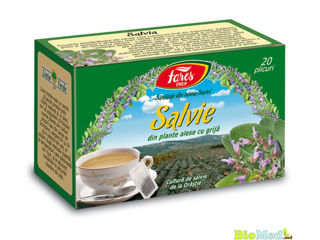 Ceai Matcha pulbere ecologica Чай Матча порошок foto 9