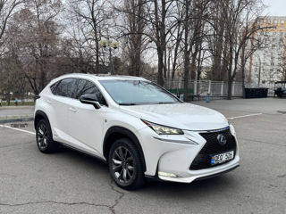 Lexus NX Series foto 6