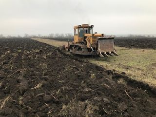 Плантаж, раскорчевка сада  и виноградников foto 1